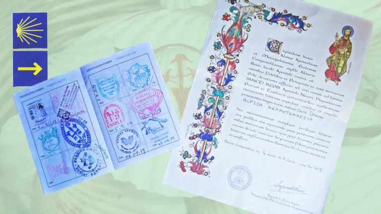 attachment 6683e387dcee922881b041ec