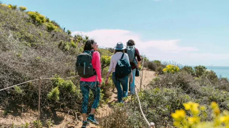 attachment 6806441f97374925a02e7ee6