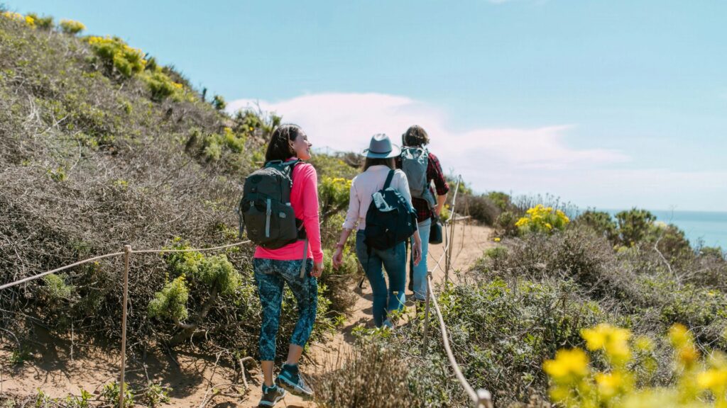 Camino Companions Pilgrims