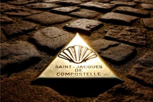 Camino shell