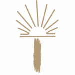 Camino Shell