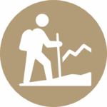 Walking