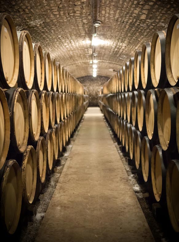 home-destacado-bodega
