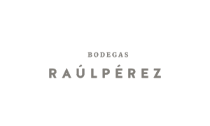 logo-raulperez